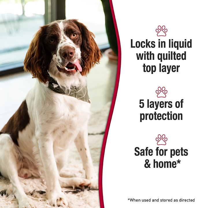 Pets at on sale home puppy pads